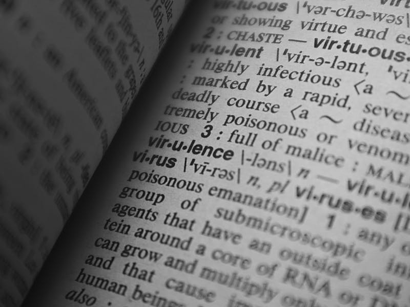 pexels-photo-4440720-1